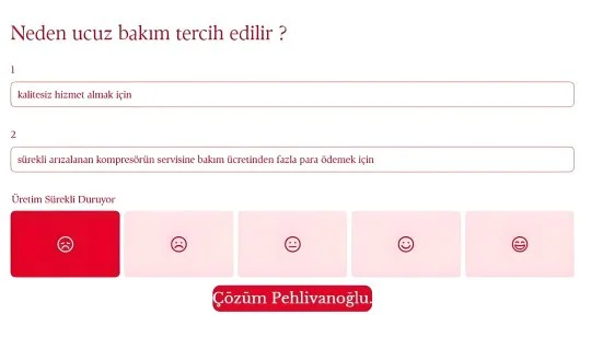 Kompresör Yağı Neden Önemlidir ?